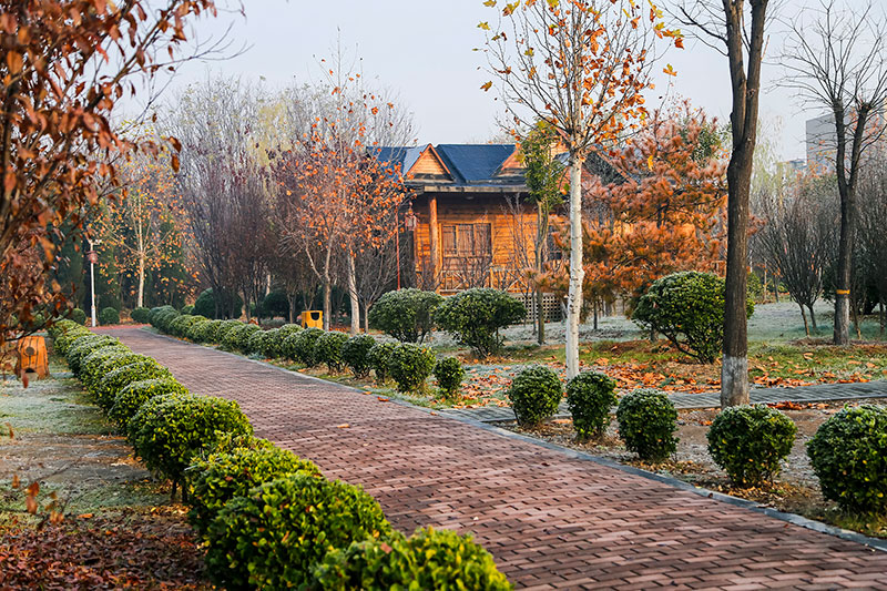 荷花小镇风景